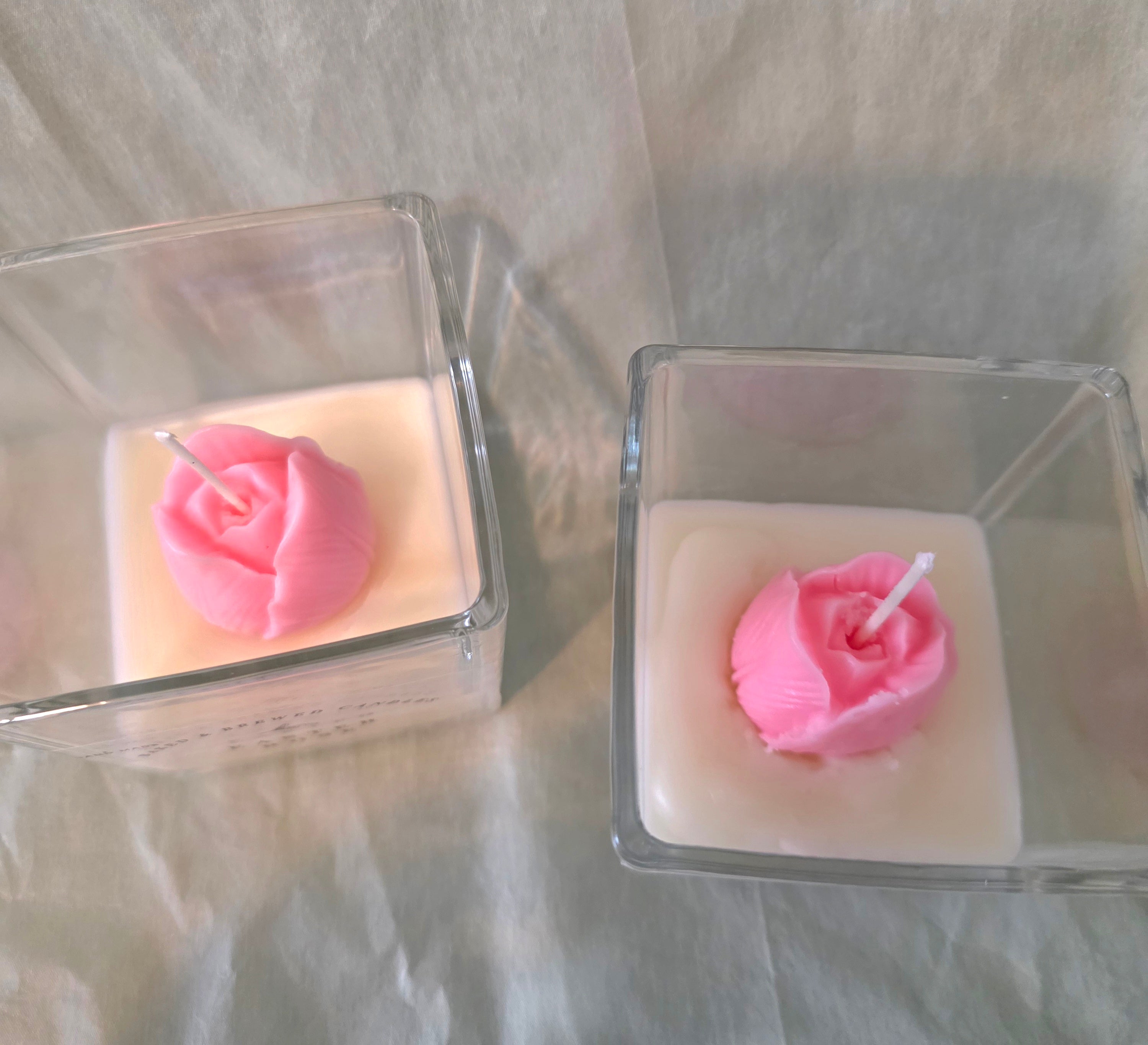 Pink Rose