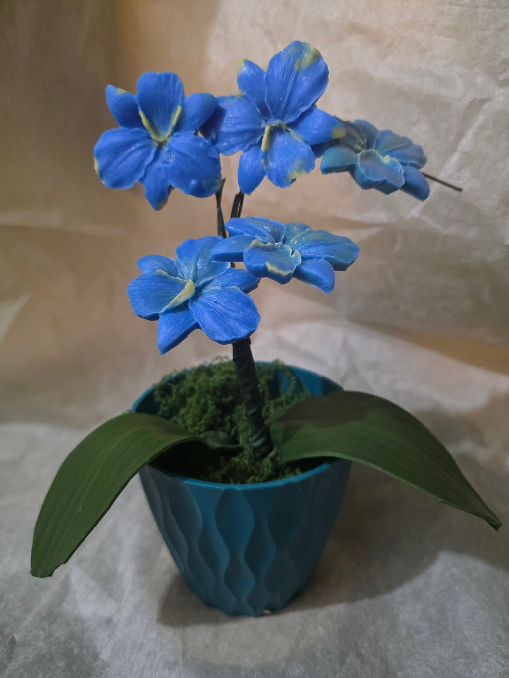 Blue Orchids