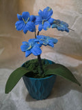 Blue Orchids