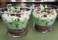 Chocolate Mint Wick or Wickless Candle
